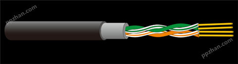 AP-SS-VYBK 数字监控专用室内外通用数据电缆